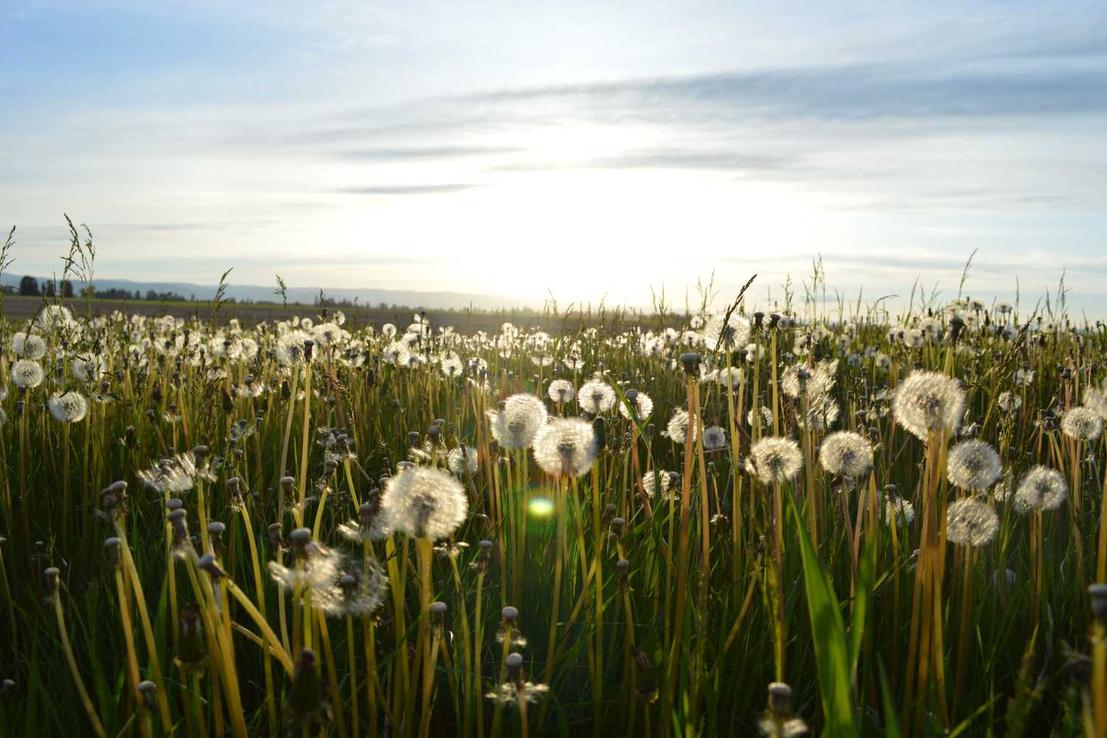 Iste inventore aspernatur et